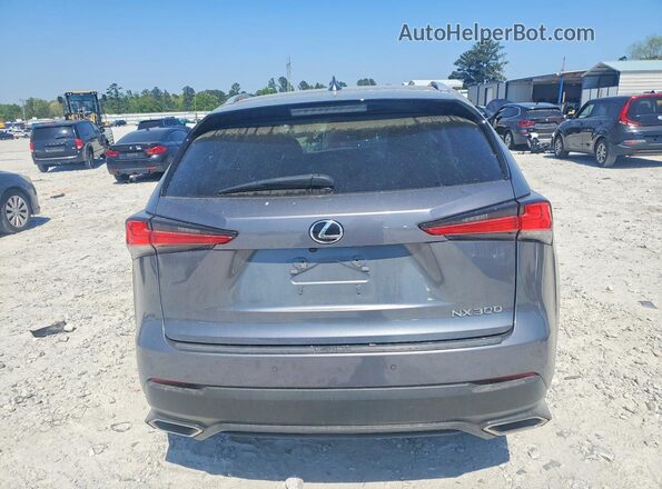 JTJYARBZ3K2135235 2019 LEXUS NX Серый Вид сзади