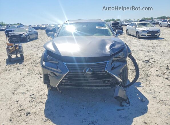 JTJYARBZ3K2135235 2019 LEXUS NX Серый Вид спереди