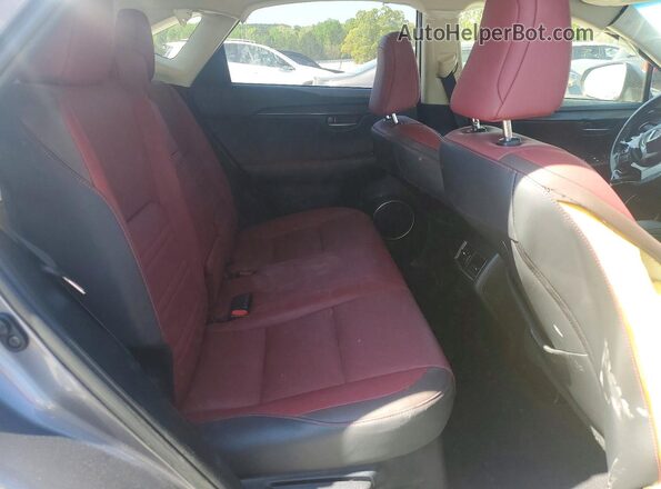 JTJYARBZ3K2135235 2019 LEXUS NX Серый Вид задней части салона