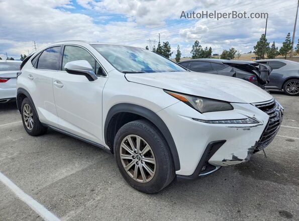 JTJYARBZ3K2141035 2019 LEXUS NX Белый Передняя правая четверть