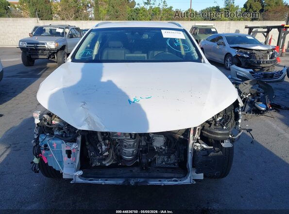 JTJYARBZ6K2139585 2019 LEXUS NX 300 Белый Вид задней части салона
