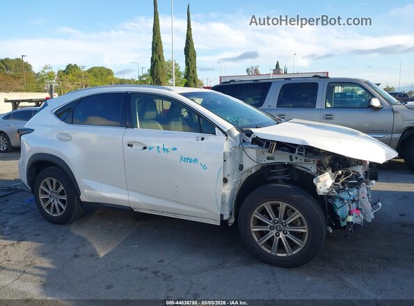JTJYARBZ6K2139585 2019 LEXUS NX 300 Белый Панорамный вид салона 360°