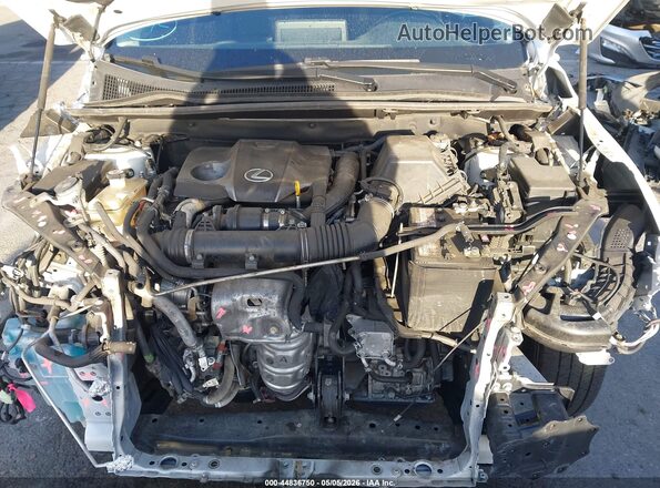 JTJYARBZ6K2139585 2019 LEXUS NX 300 Белый Вид сзади
