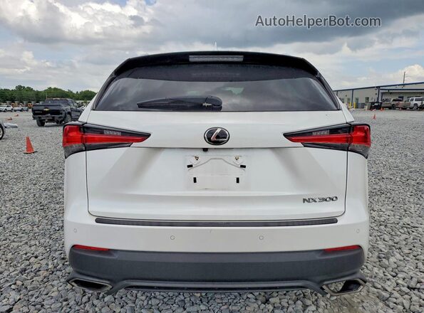 JTJYARBZXJ2092124 2018 LEXUS NX Белый Вид сзади