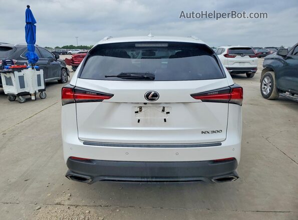 JTJYARBZXK2136432 2019 LEXUS NX Белый Вид сзади
