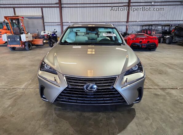 JTJYARBZXK2143803 2019 LEXUS NX Tan Vista frontal