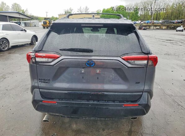 JTMAB3FV9RD176392 2024 TOYOTA RAV4 Серый Вид сзади