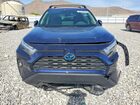 2024 Toyota Rav4 Xle Premium Синий vin: JTMB6RFV7RD136663