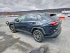2025 Toyota Rav4 Xle Premium Black vin: JTMB6RFV7SD157230 2025 Toyota Rav4 Xle Premium Black vin: JTMB6RFV7SD157230