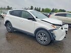 2017 Toyota Rav4 Le Белый vin: JTMBFREV0HJ124789