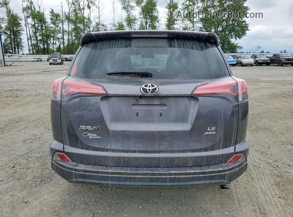JTMBFREV3JJ731176 2018 TOYOTA RAV4 Gray Вид ззаду