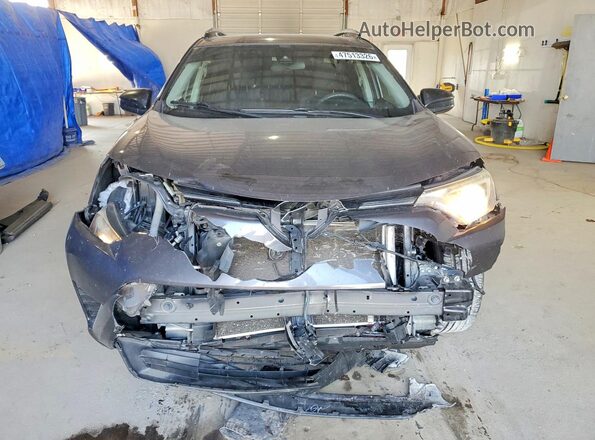 JTMBFREV5HJ125131 2017 TOYOTA LE Серый Вид спереди