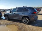2019 Toyota Rav4 Xle Premium Серый vin: JTMC1RFVXKD500292