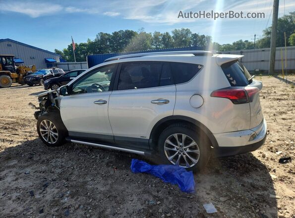 JTMDJREV0GD041576 2016 TOYOTA RAV4 White Задня ліва чверть