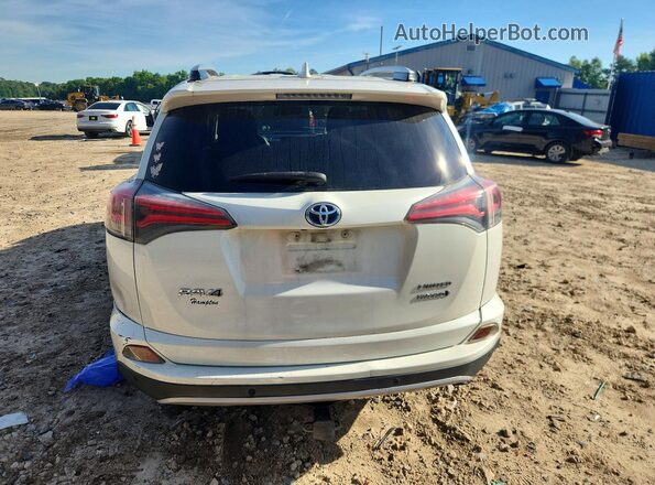 JTMDJREV0GD041576 2016 TOYOTA RAV4 White Вид ззаду