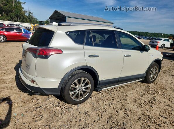 JTMDJREV0GD041576 2016 TOYOTA RAV4 White Задня права чверть