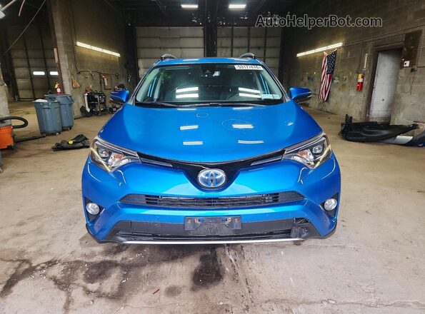 JTMDJREV1HD098810 2017 TOYOTA RAV4 Синий Вид спереди