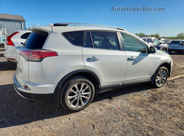 JTMDJREV9GD001996 2016 TOYOTA RAV4 White უკანა მარჯვენა