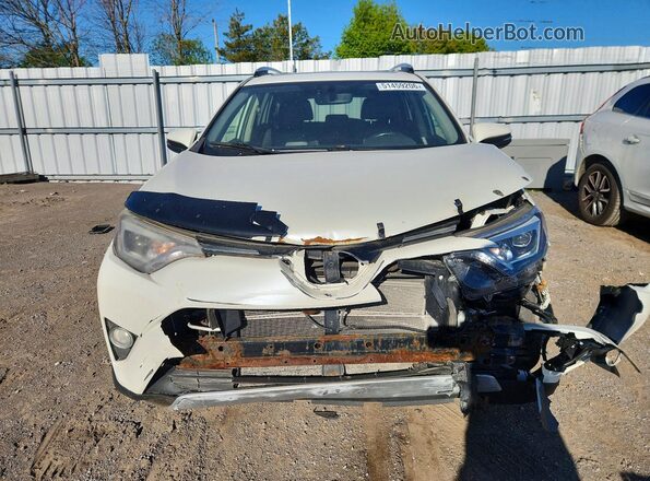 JTMDJREV9GD001996 2016 TOYOTA RAV4 White წინა ხედი