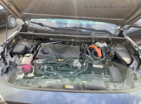 JTMDWRFV8KD503035 2019 TOYOTA RAV4 Gray Vista del compartimento del motor
