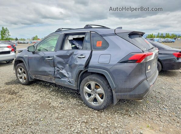 JTMDWRFV8KD511572 2019 TOYOTA RAV4 Gray Задня ліва чверть