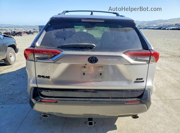 JTMEWRFV8KJ024314 2019 TOYOTA RAV4 Silver Rear view
