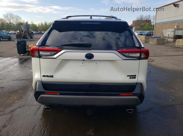 JTMEWRFV8LJ042667 2020 TOYOTA RAV4 Белый Вид сзади