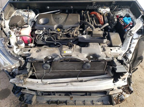 JTMEWRFV8LJ042667 2020 TOYOTA RAV4 Белый Вид задней части салона