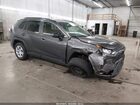 2019 Toyota Rav4 Le Gray vin: JTMF1RFV1KJ007924