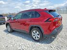 2019 Toyota Rav4 Le Red vin: JTMG1RFV3KD046520