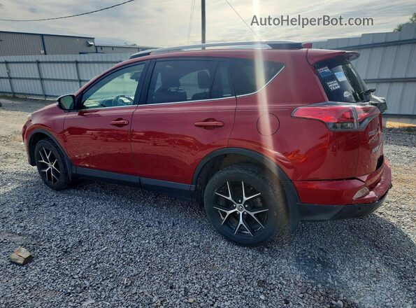 JTMJFREV8GJ059779 2016 TOYOTA RAV4 Red Задня ліва чверть
