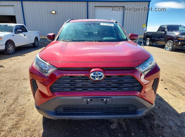 JTMM6RFV0LD006417 2020 TOYOTA RAV4 Красный Вид спереди