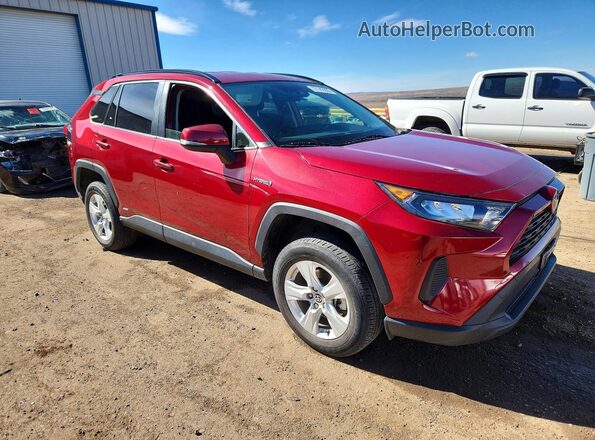 JTMM6RFV0LD006417 2020 TOYOTA RAV4 Красный Передняя правая четверть