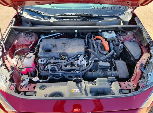 JTMM6RFV0LD006417 2020 TOYOTA RAV4 Красный Вид задней части салона