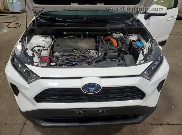 JTMMWRFV5KD015659 2019 TOYOTA RAV4 White Вид задньої частини салону