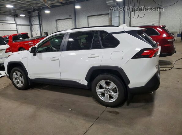 JTMMWRFV5KD015659 2019 TOYOTA RAV4 White Задня ліва чверть
