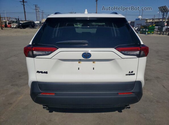 JTMMWRFV5PD204559 2023 TOYOTA RAV4 Белый Вид сзади