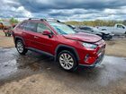 2019 Toyota Rav4 Limited Burgundy vin: JTMN1RFV0KD506627