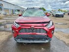 2019 Toyota Rav4 Limited Burgundy vin: JTMN1RFV0KD506627