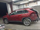 2019 Toyota Rav4 Limited Red vin: JTMN1RFV2KD042241 2019 Toyota Rav4 Limited Red vin: JTMN1RFV2KD042241