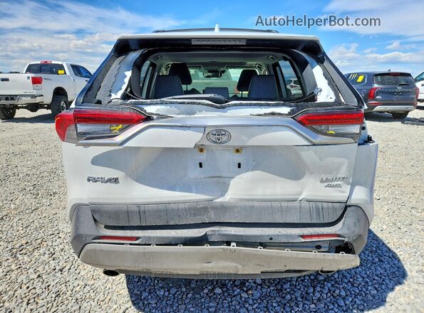 JTMN1RFV4PD094123 2023 TOYOTA RAV4 Белый Вид сзади