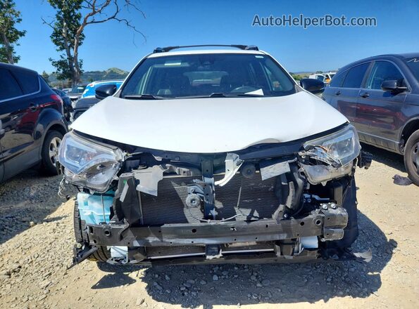 JTMNFREV8HD100140 2017 TOYOTA RAV4 Белый Вид спереди