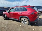 2019 Toyota Rav4 Xle Красный vin: JTMP1RFV1KD023513