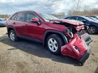 2019 Toyota Rav4 Xle Красный vin: JTMP1RFV1KD023513