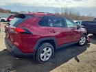 2019 Toyota Rav4 Xle Красный vin: JTMP1RFV1KD023513