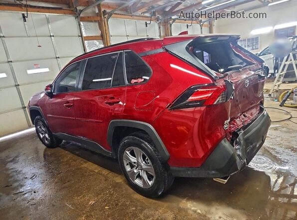 JTMP1RFV6RD109765 2024 TOYOTA RAV4 Красный Задняя левая четверть