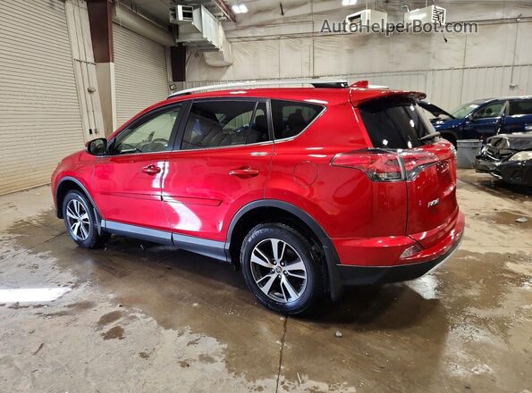 JTMRFREV1GJ080878 2016 TOYOTA RAV4 Red Tył lewy
