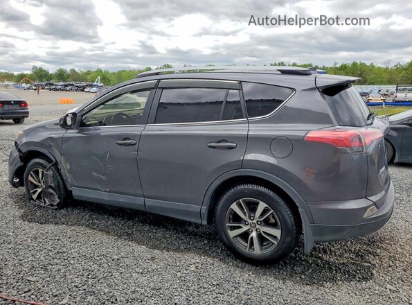 JTMRFREV1HJ119924 2017 TOYOTA RAV4 Серый Задняя левая четверть