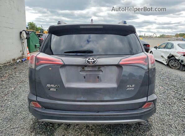 JTMRFREV1HJ119924 2017 TOYOTA RAV4 Серый Вид сзади