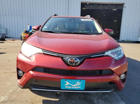 JTMRFREV1JD242269 2018 TOYOTA RAV4 Красный Вид спереди